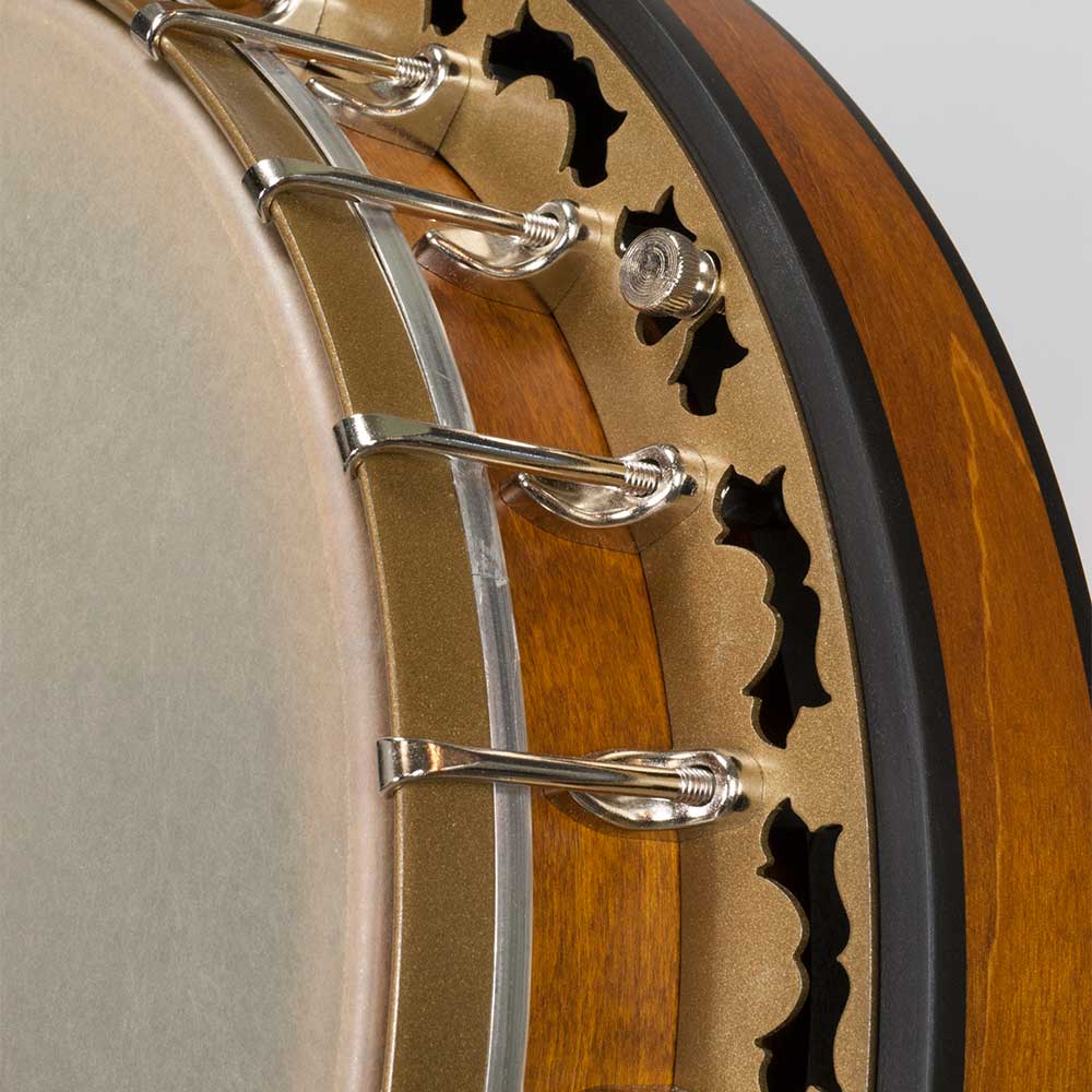 Deering Phoenix Acoustic/Electric 6-String Banjo - pot close