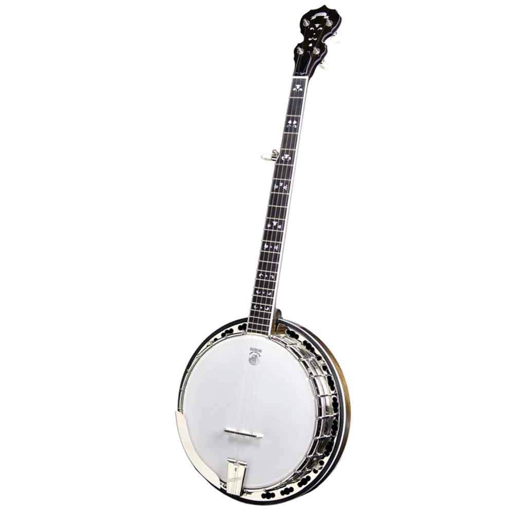 Deering Maple Blossom banjo - front