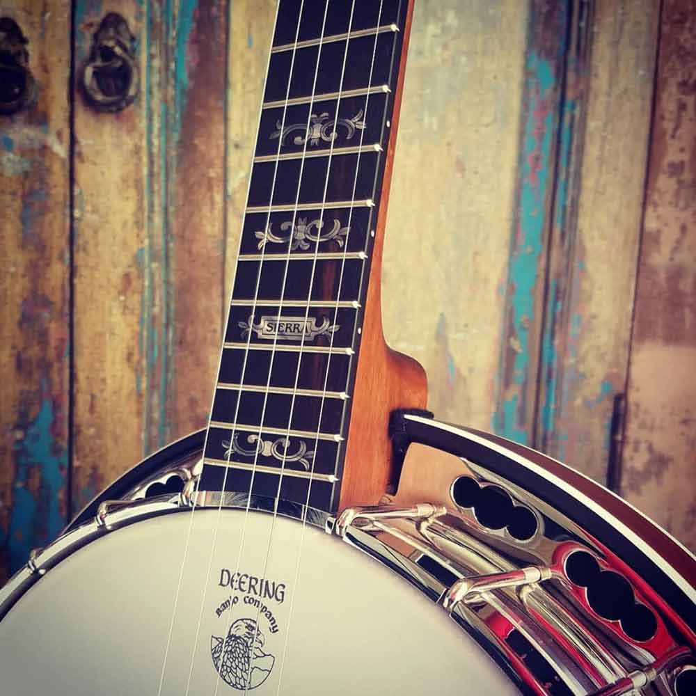 Deering Sierra Banjo neck and pot with wood background