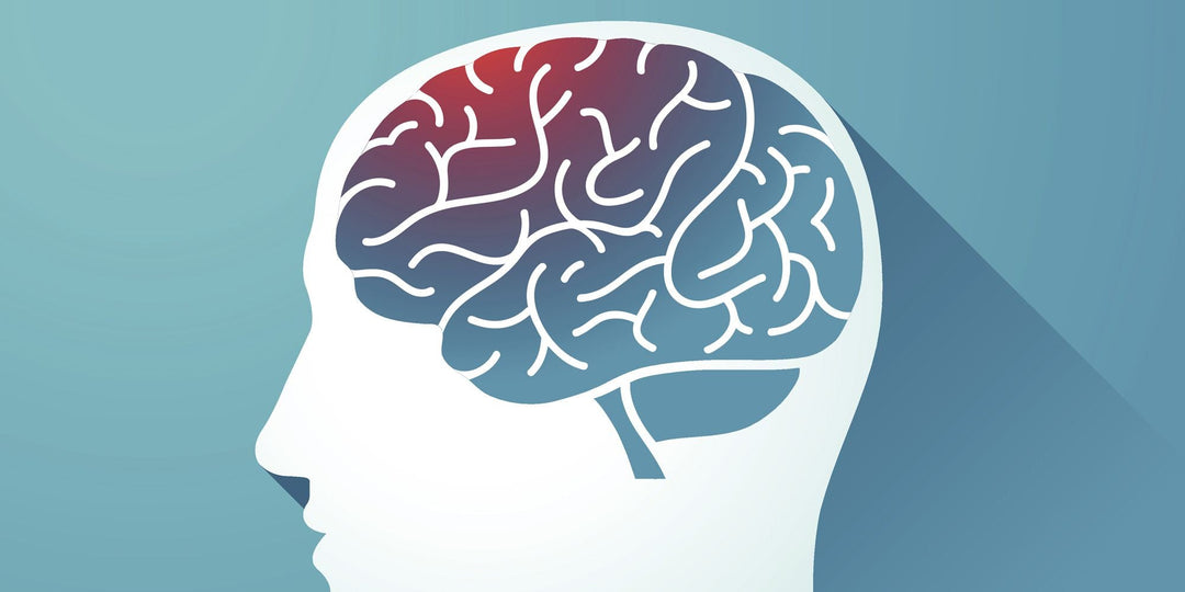 How Playing an Instrument Benefits Your Brain