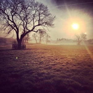 Deering Banjo at The Edge of The Grand Canyon!