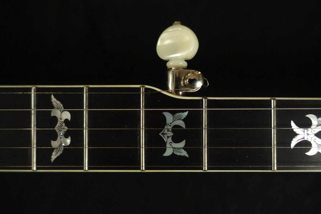 A Guide To Buying Used Banjos For Sale