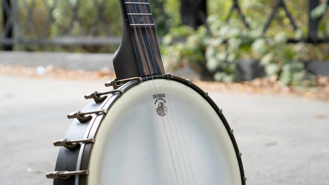 Introducing the Vega Vintage Star