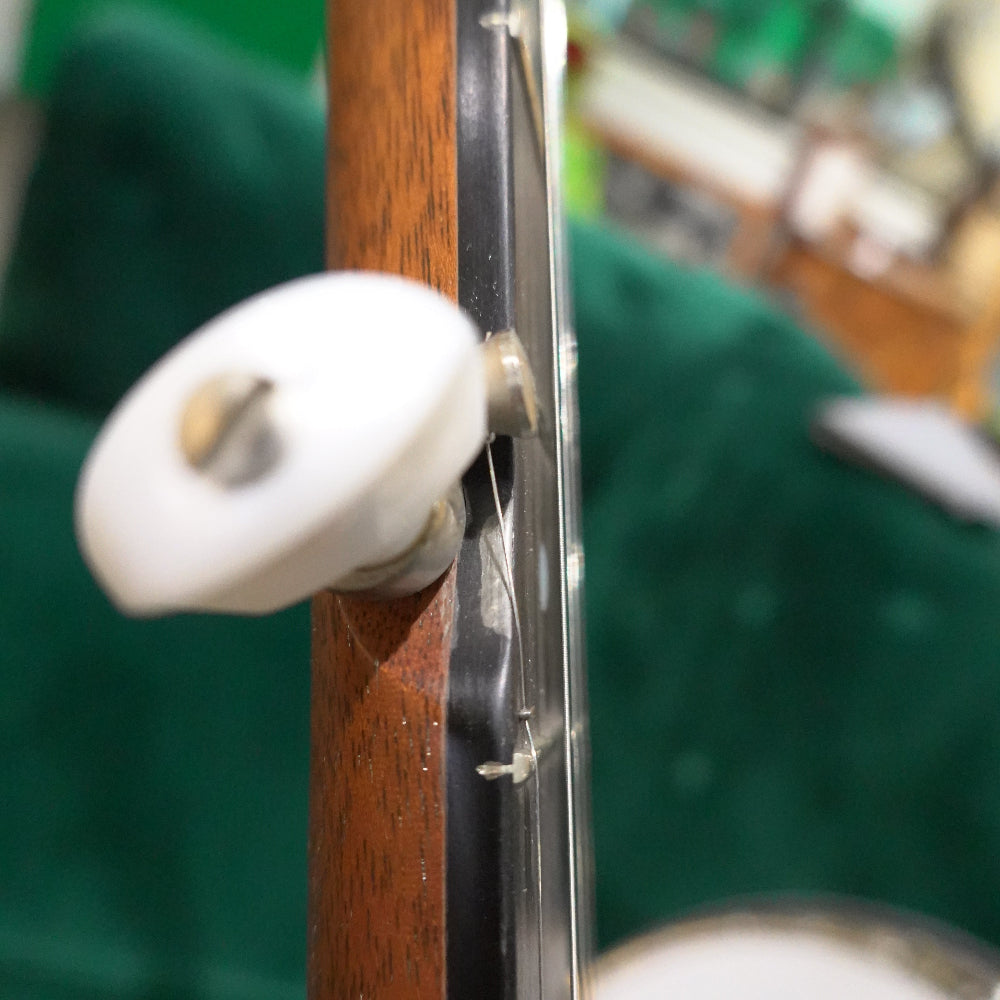 close up of banjo 5th tuner with green background