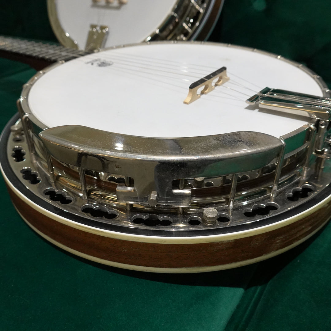 close up of banjo resonator on green background
