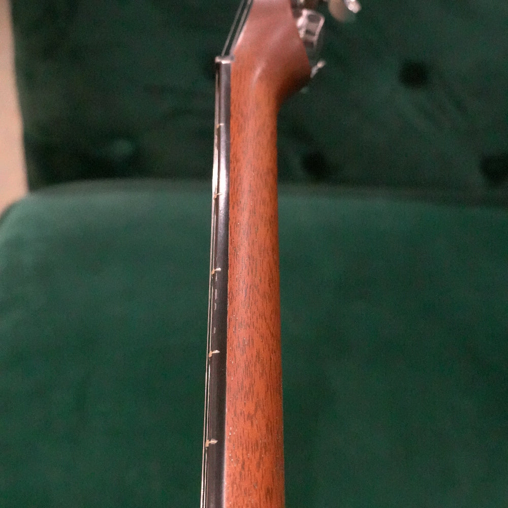 close up of banjo neck with green background