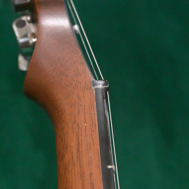 close up of banjo nut with green background