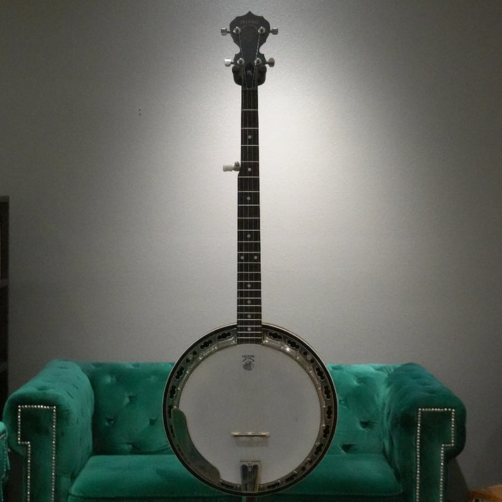 Banjo in front of green couch and gray wall