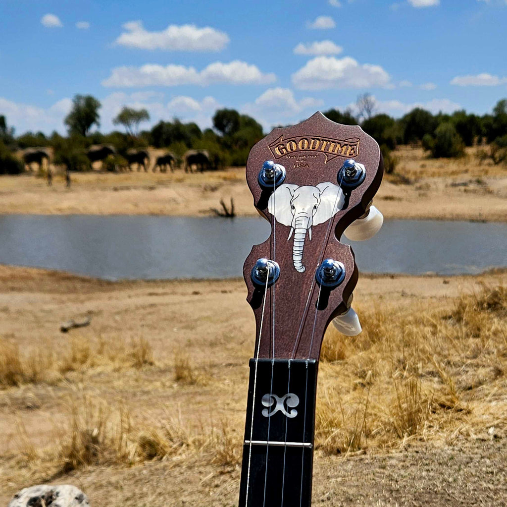 Giving Tuesday Elephant Artisan Goodtime Banjo 2024 – Deering