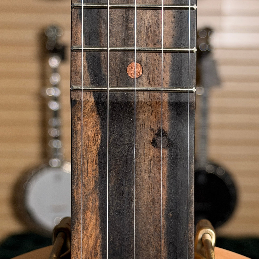 Vega Vintage Star Cherry | Showroom Banjo