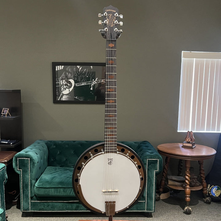 Banjo on a stand in a room with green couch and framed picture on the wall