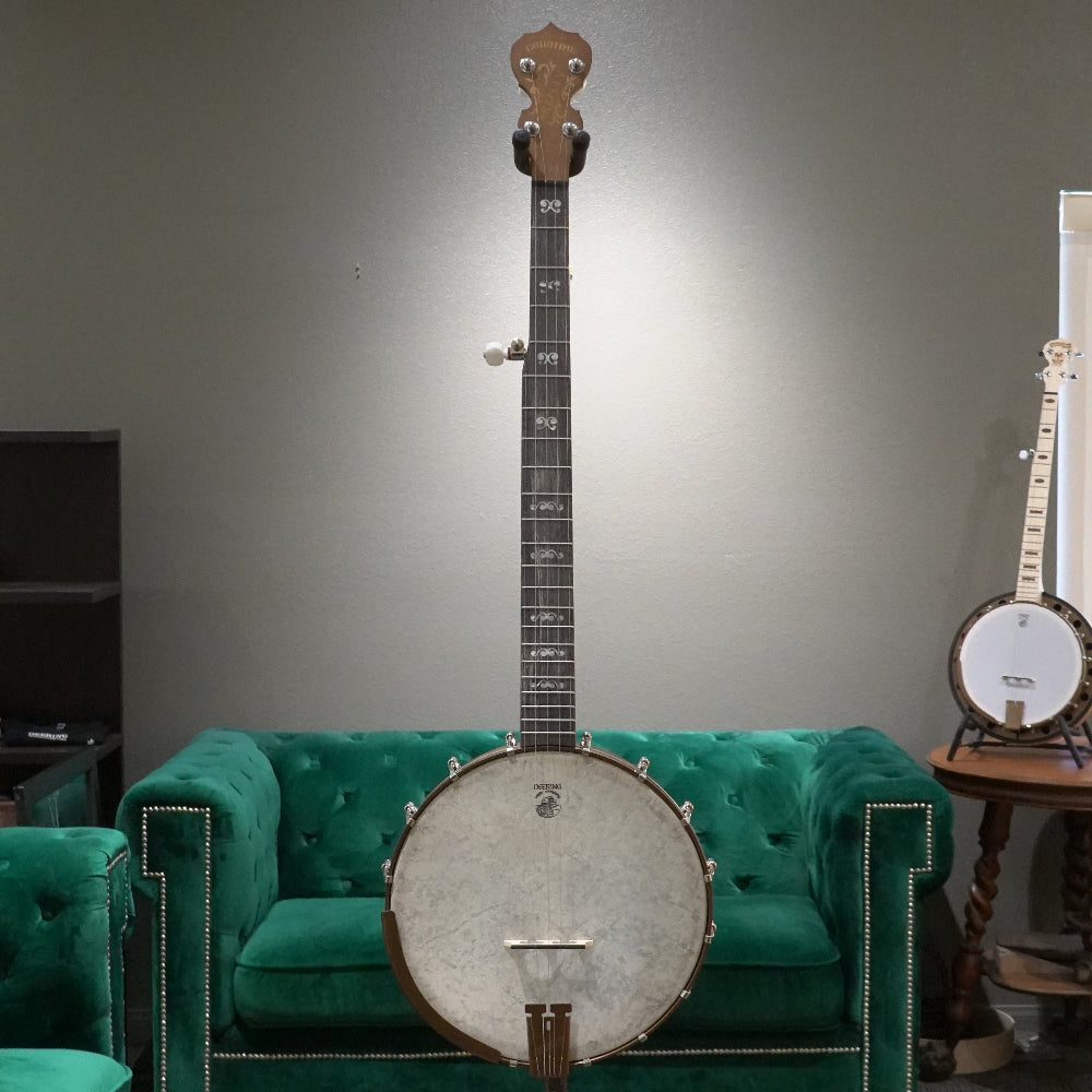 Banjo in front of a grey wall and green couch.