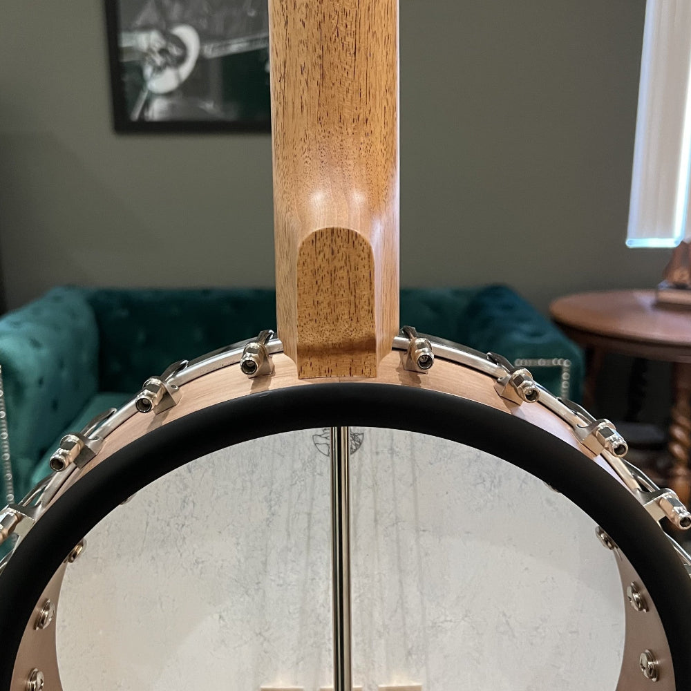 Close-up of a banjo neck with a blurred indoor background