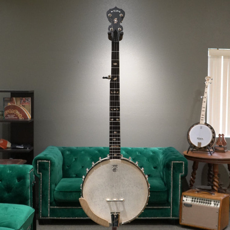 Banjo in front of a green couch with a gray wall background