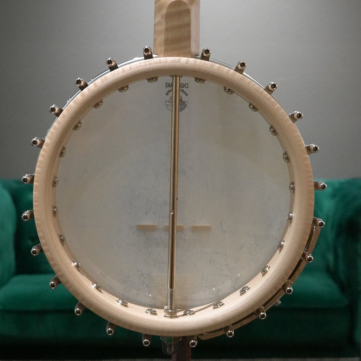 close up of a banjo rim back with a metal rod in the middle against a blurry green and grey background