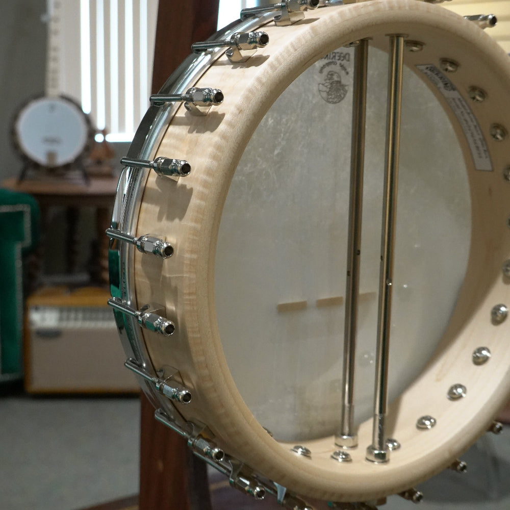 Close-up of a banjo head back in a room setting