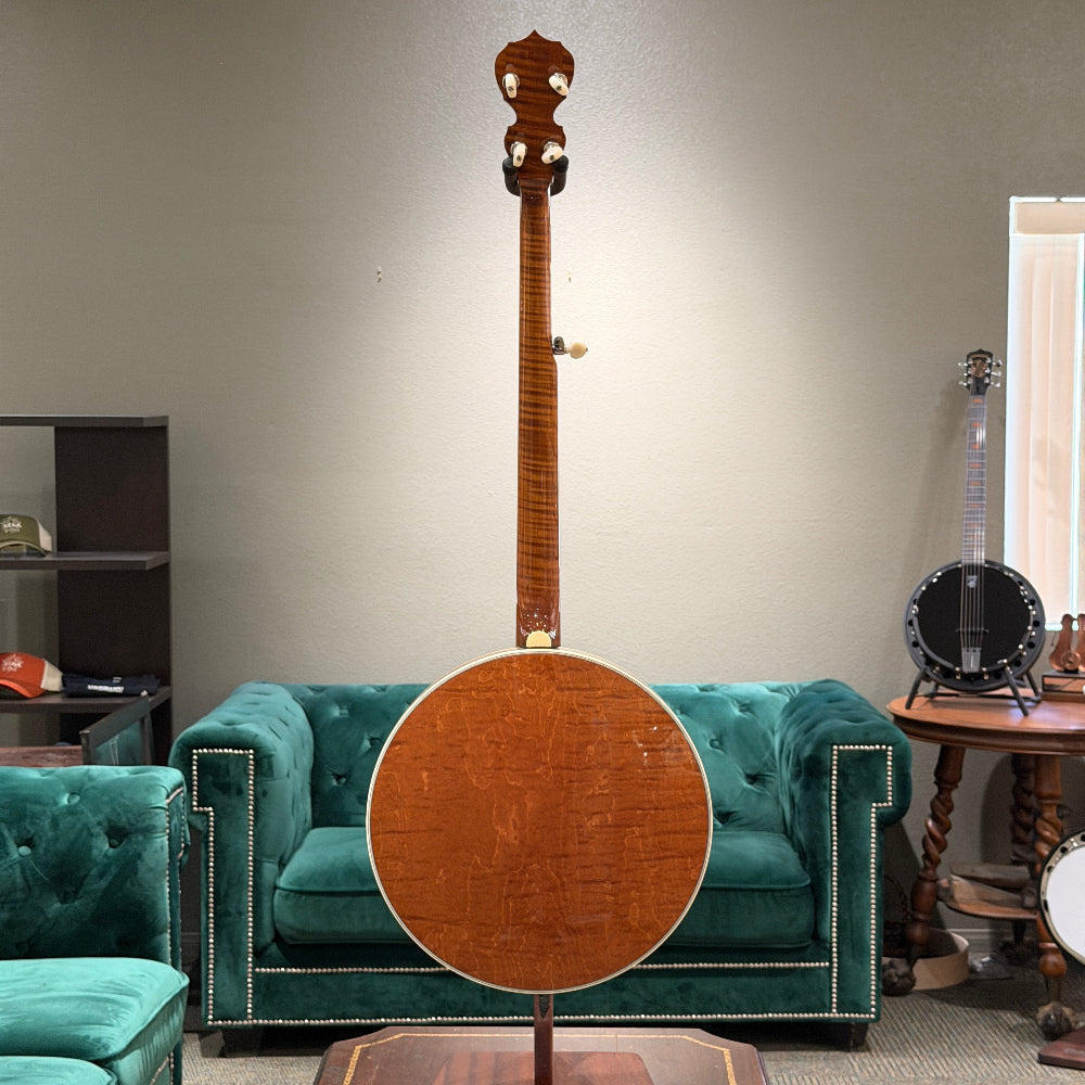 stringed instrument in front of a gray wall and green couch. 