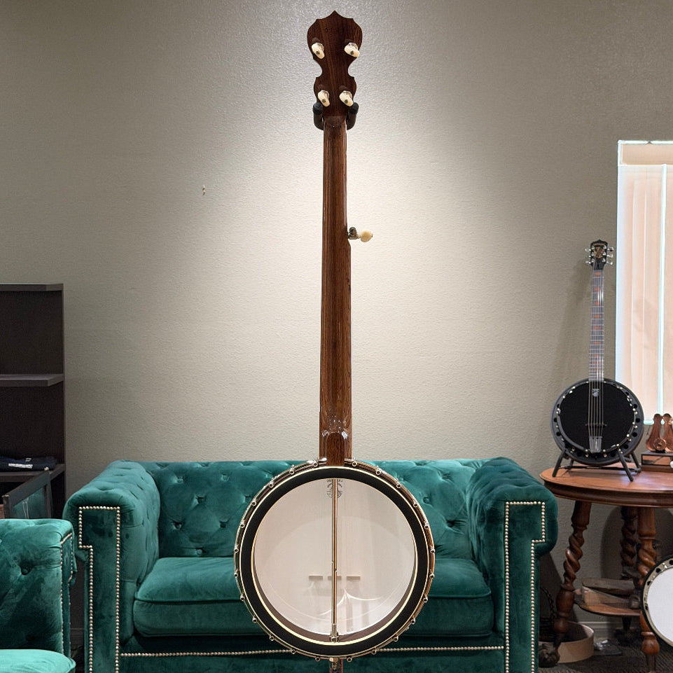 stringed instrument in front of a gray wall and green couch. 