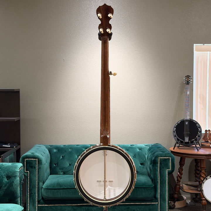 stringed instrument in front of a gray wall and green couch. 
