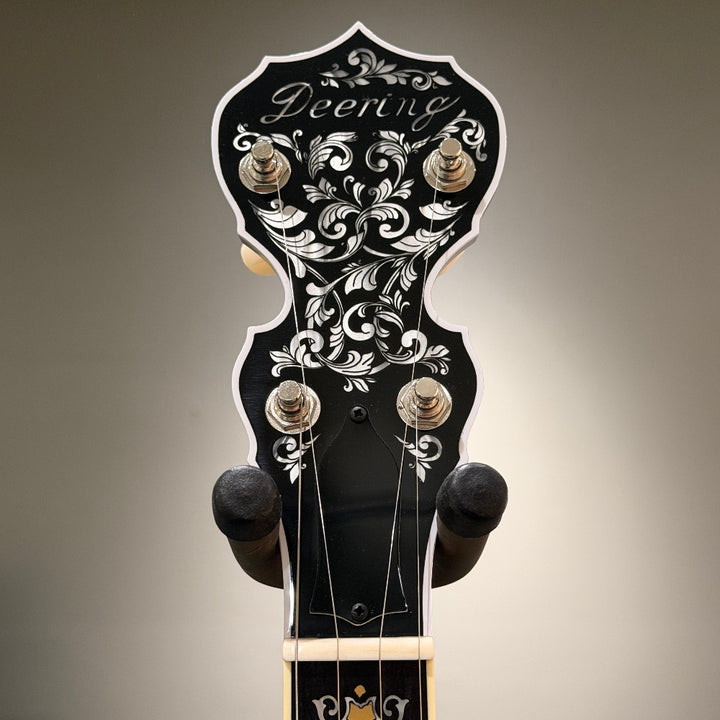 stringed instrument in front of a gray wall