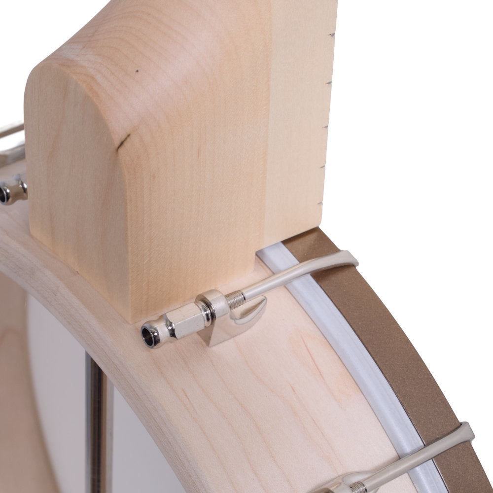 Goodtime 19-Fret Tenor Banjo neck and rim