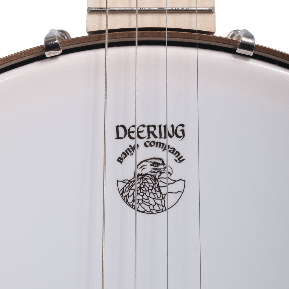 Goodtime 19-Fret Tenor Banjo pot and neck straight on