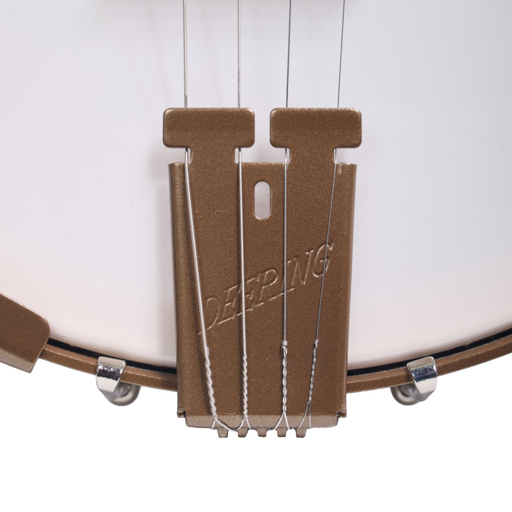 Goodtime 19-Fret Tenor Banjo tailpiece