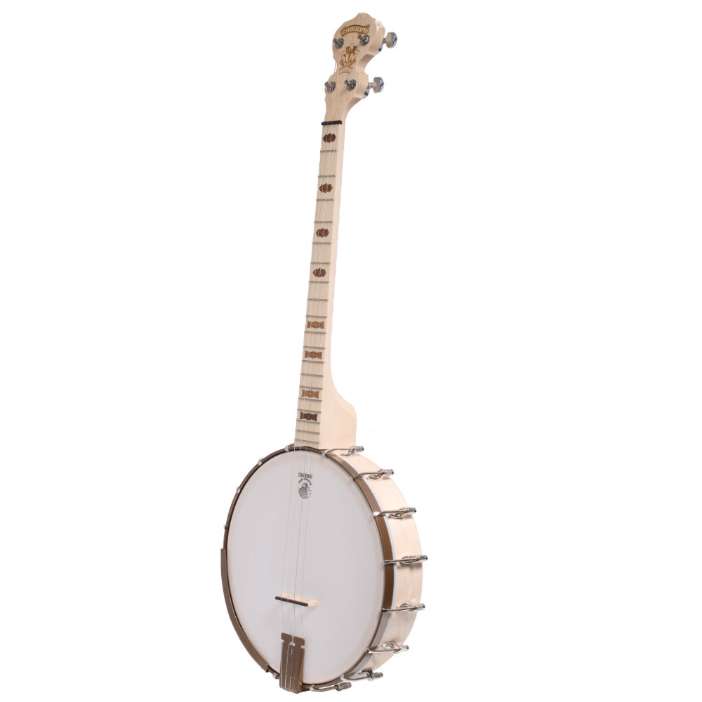 Goodtime 19-Fret Tenor Banjo full banjo from the left