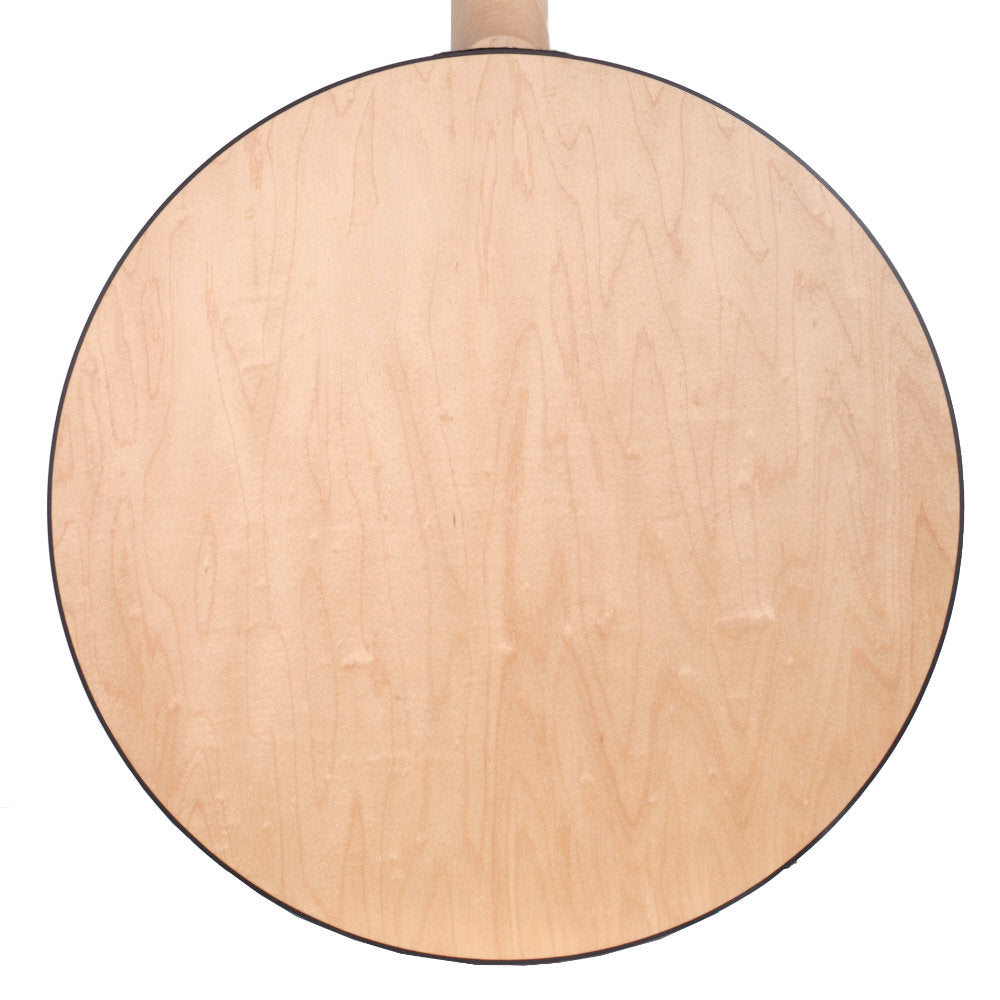 Goodtime Two Plectrum Banjo resonator back straight on