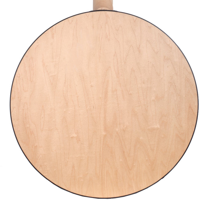 Goodtime Two Plectrum Banjo resonator back straight on