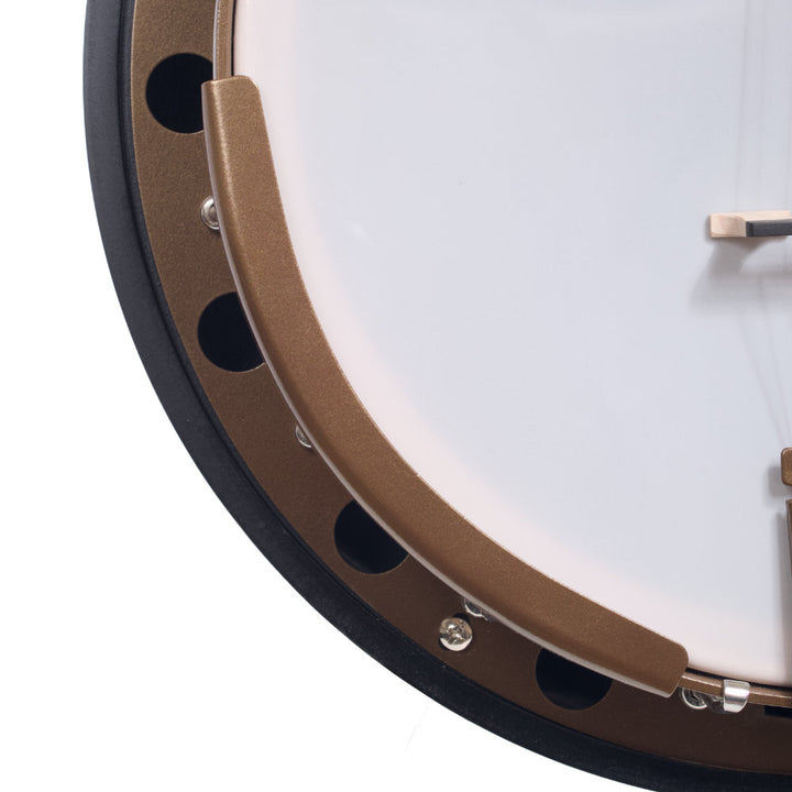 Goodtime Two Plectrum Banjo armrest