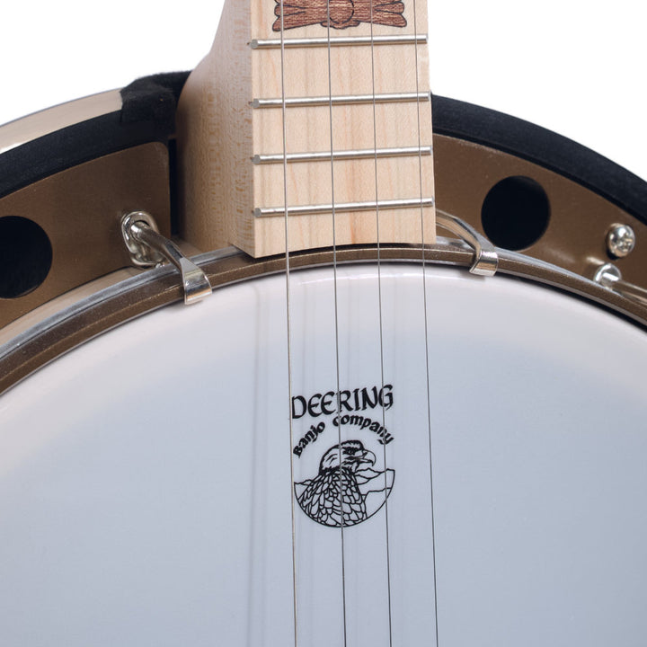 Goodtime Two Plectrum Banjo neck and pot