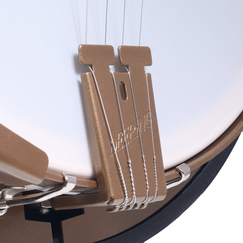 Goodtime Two Plectrum Banjo tailpiece left side