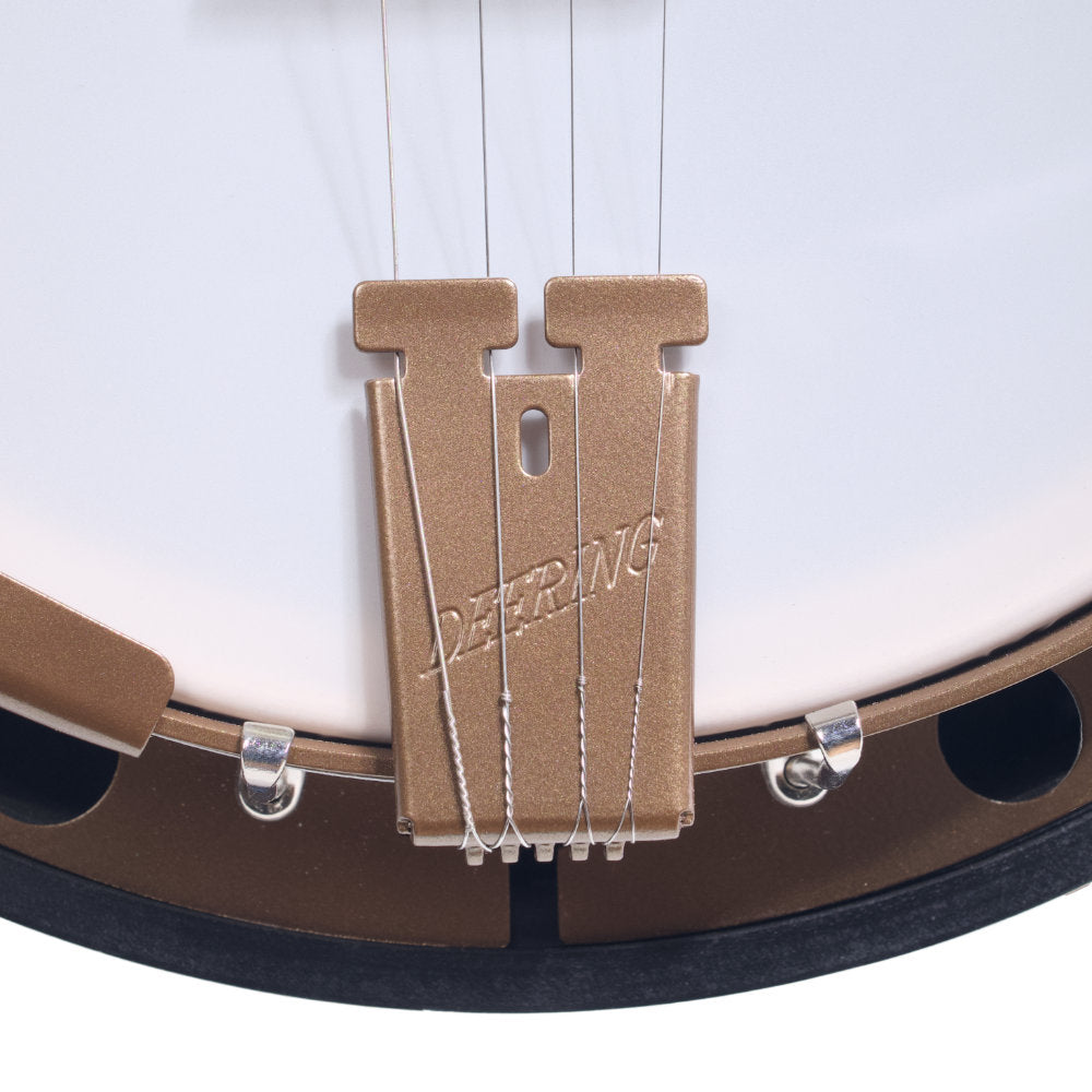 Goodtime Two Plectrum Banjo tailpiece straight on