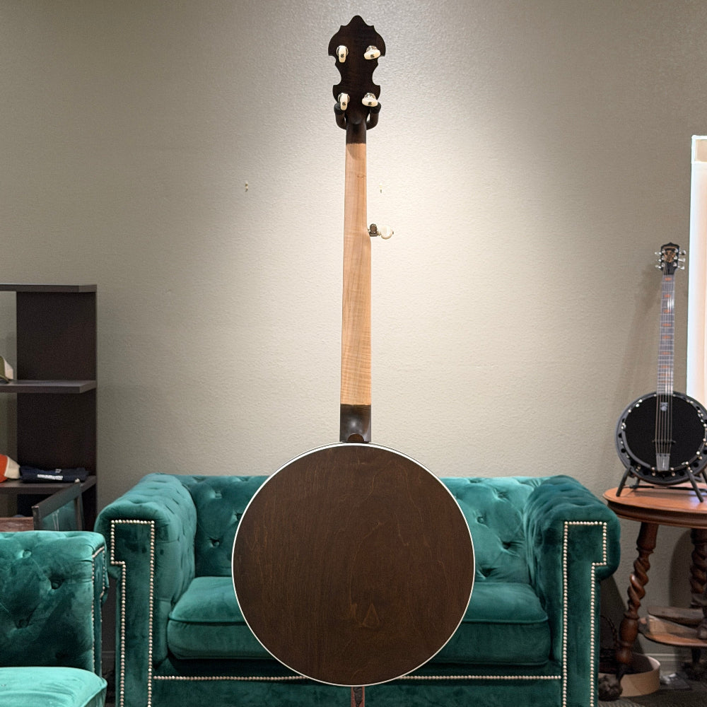 stringed instrument in front of a gray wall and green couch. 