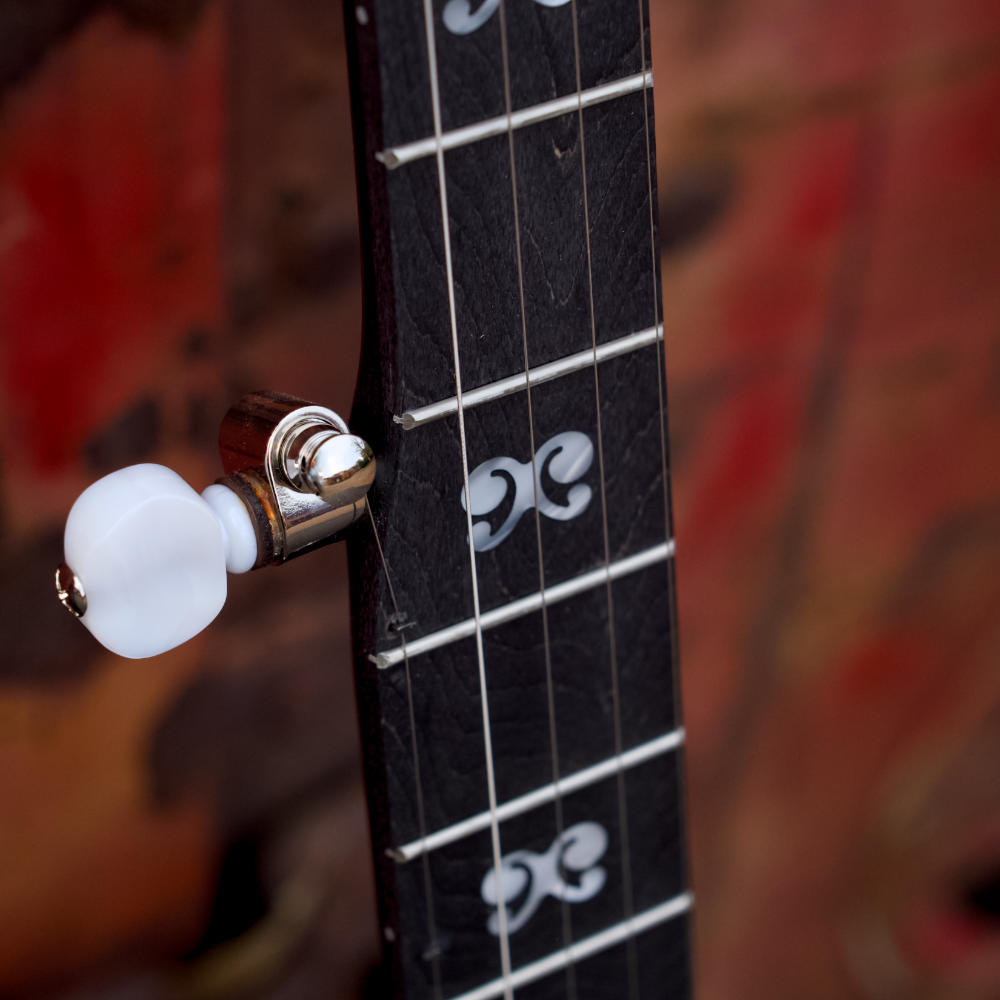 Artisan Goodtime Americana 5-String Banjo