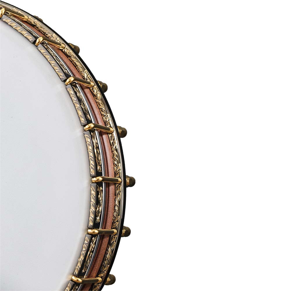 Deering Clawgrass 5-String Banjo