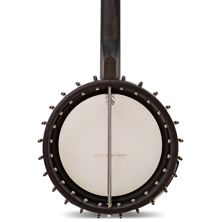 The Vega Avett Star Signature Banjo