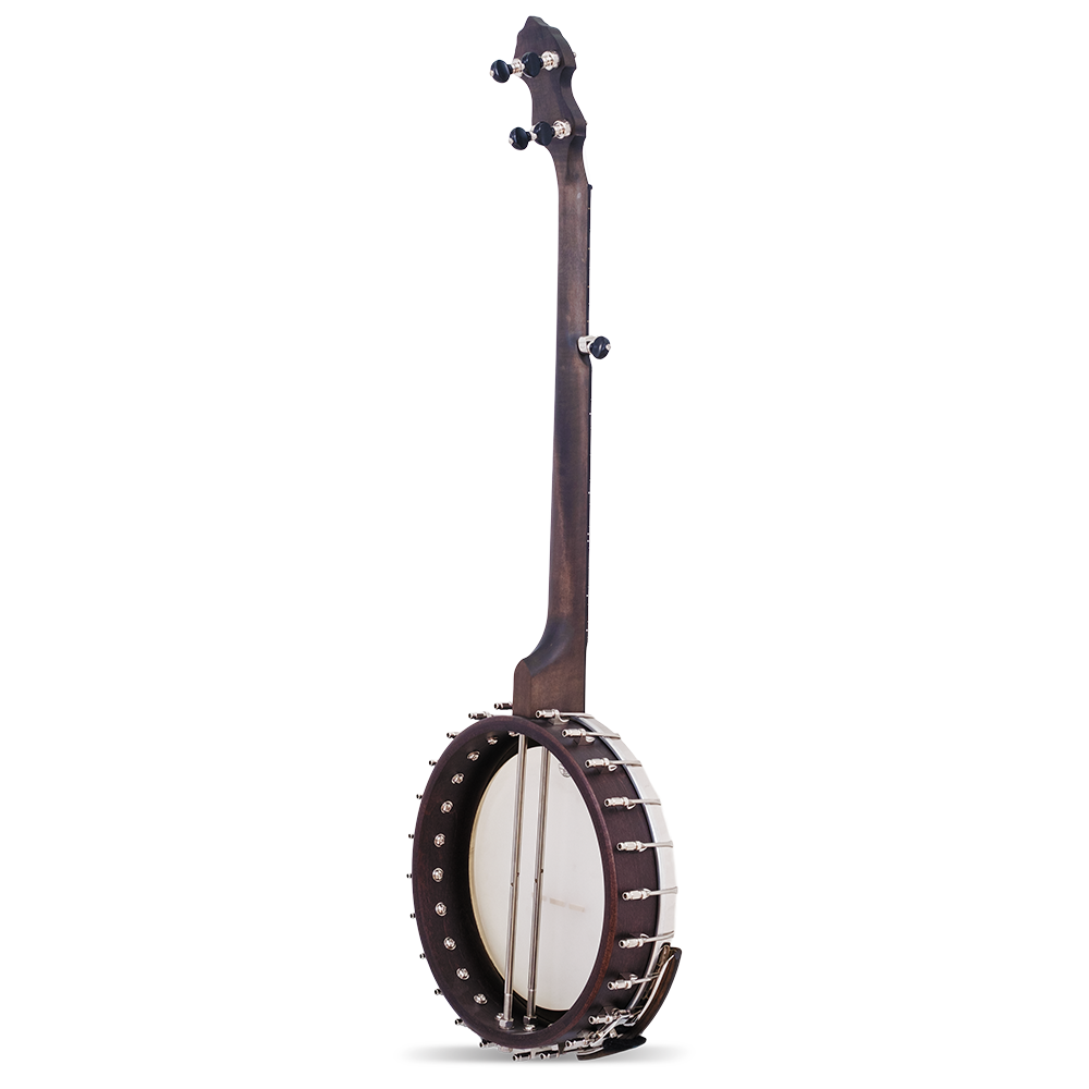 The Vega Avett Star Signature Banjo