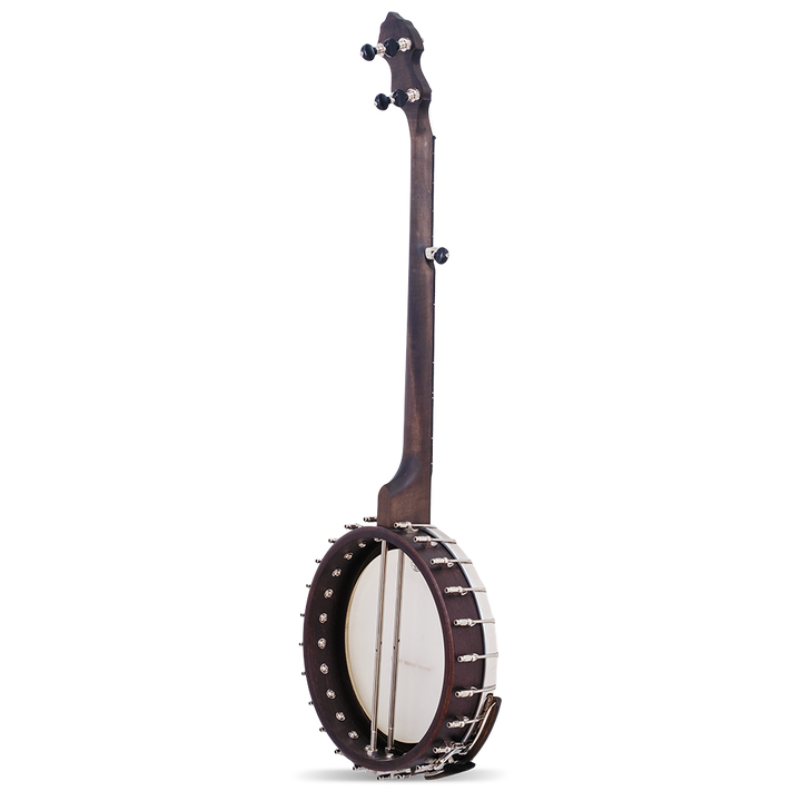 The Vega Avett Star Signature Banjo