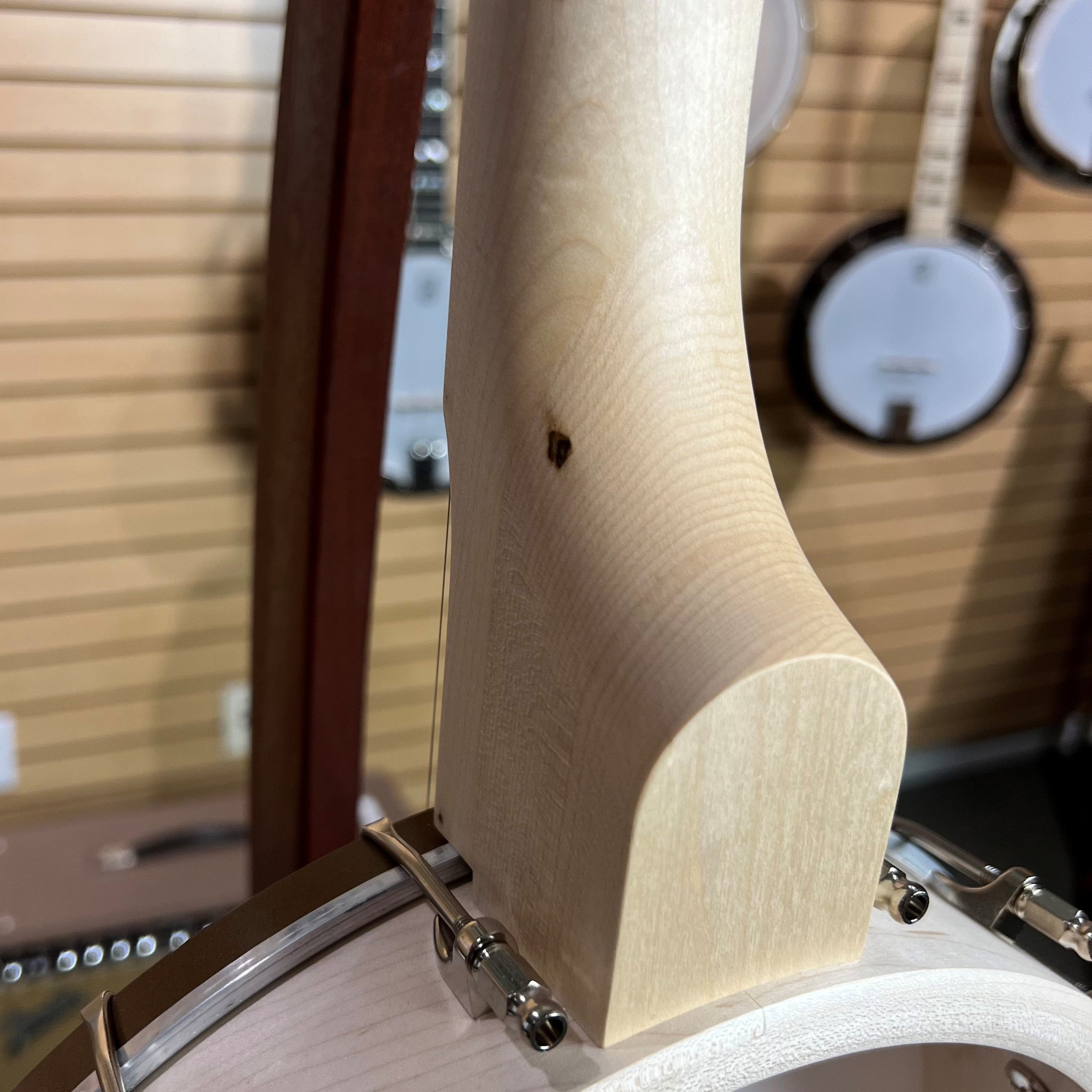 Goodtime 5-String Openback Fretless, Scooped Banjo | Showroom Banjo