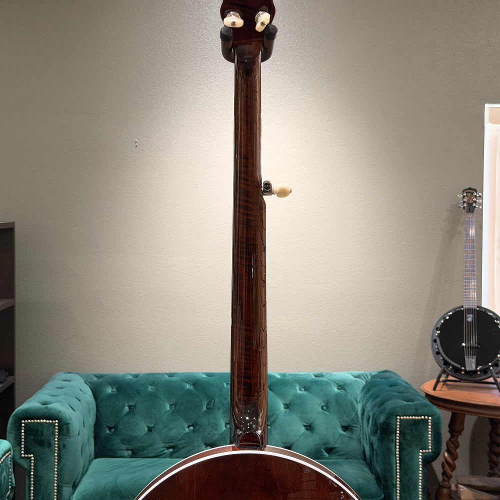 stringed instrument in front of a gray wall and green couch. 