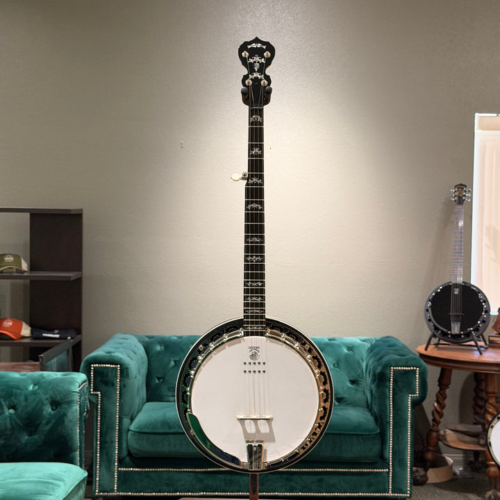 stringed instrument in front of a gray wall and green couch. 