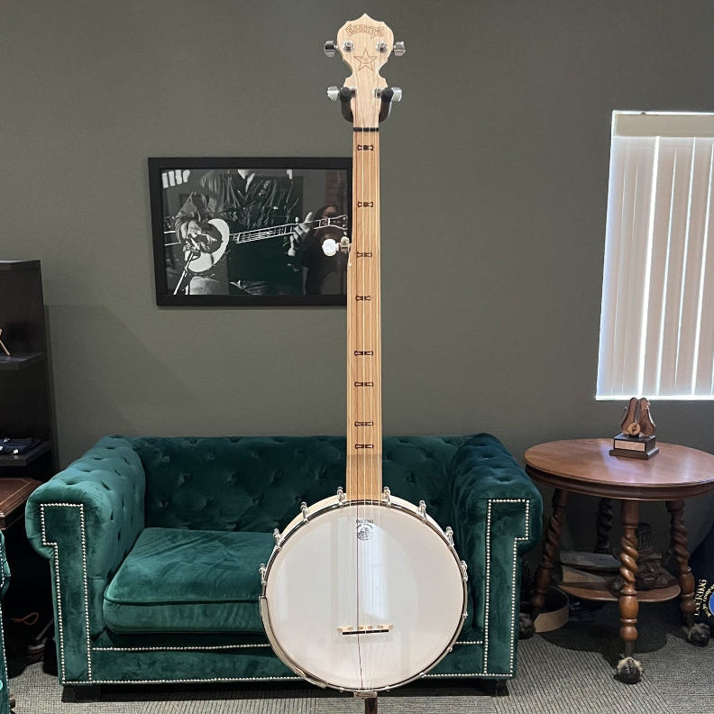 Banjo on a stand in a room with green furniture and a gray wall.