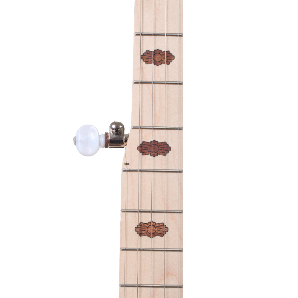 Goodtime Acoustic/Electric 5-String Banjo inlays