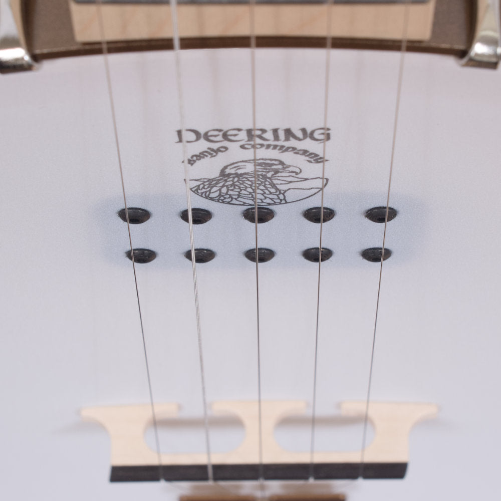 Goodtime Acoustic/Electric 5-String Banjo pickup poles and strings