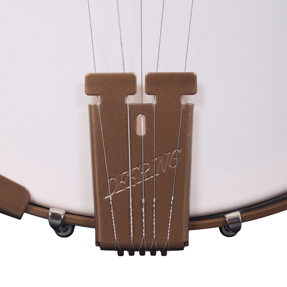 Goodtime Acoustic/Electric 5-String Banjo tailpiece
