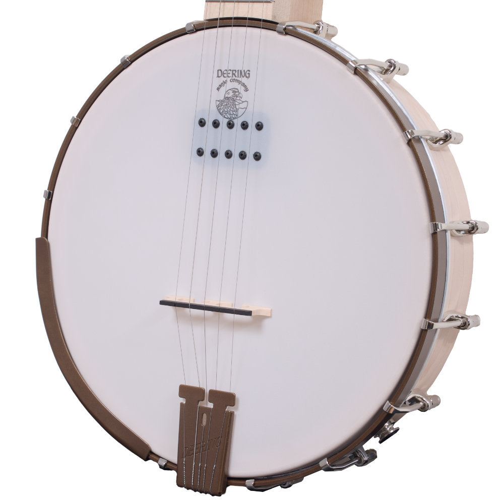 Goodtime Acoustic/Electric 5-String Banjo pot right 