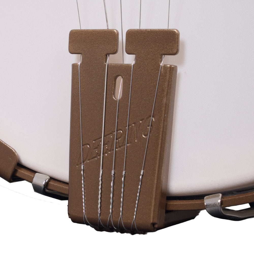 Goodtime Acoustic/Electric 5-String Banjo tailpiece 2