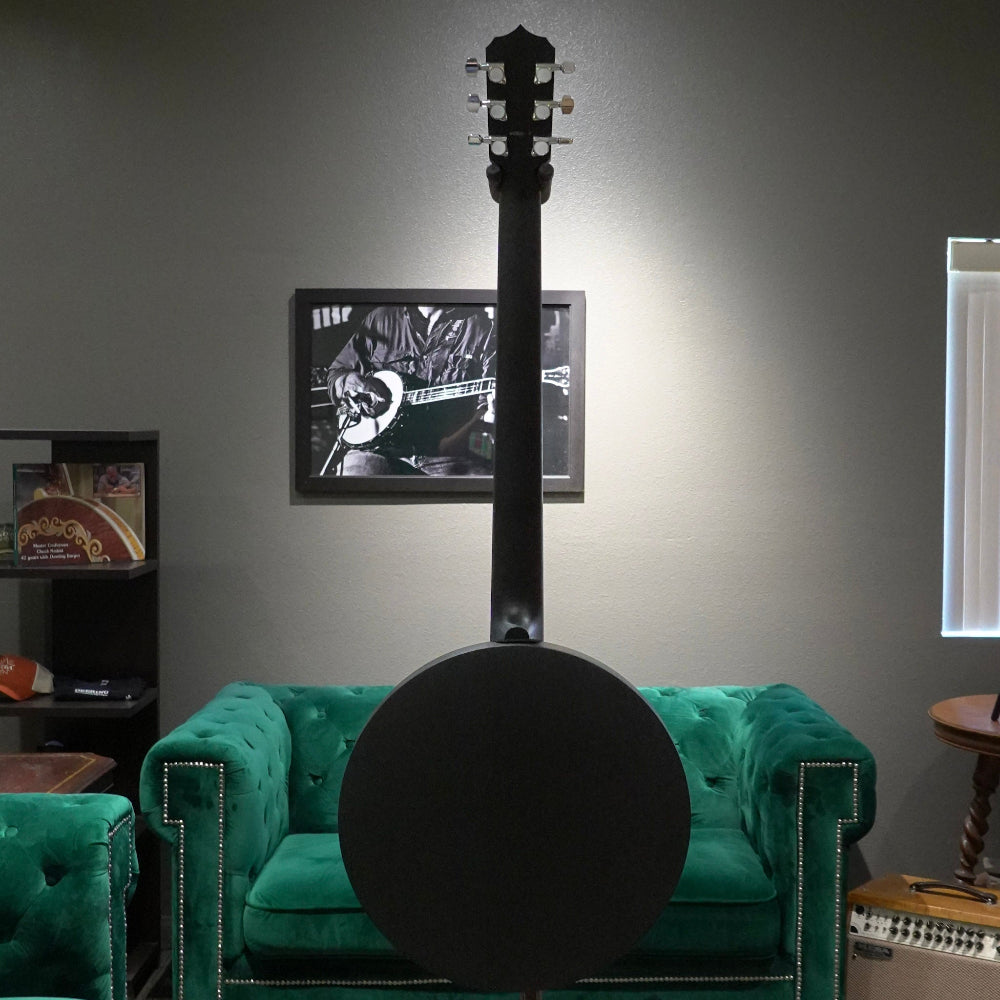 Black banjo leaning against a green couch in a room with a gray wall and framed picture.